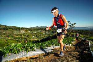 BIB: 2106, 
                            <button type="button" onclick="openModal(19117510)" class="btn btn-primary btn-sm float-right btn-popup" data-toggle="modal" data-target=".modal-high-quality">
                        <i class="fas fa-shopping-cart"></i> Add to Cart
                    </button>
                                            <button type="button" onclick="isThisMe(19117510, true)" class="btn btn-success btn-sm float-right btn-popup btn-isme hidden" data-toggle="tooltip" data-placement="bottom" title="นี่คือรูปของคุณใช่ไหม คลิกที่นี่เพื่อเอาเข้าอัลบั้ม">
                        <i class="fas fa-plus"></i> Add to album
                    </button>
                    <button type="button" onclick="isThisMe(19117510, false)" class="btn btn-warning btn-sm float-right btn-popup btn-isnotme hidden">
                        <i class="fas fa-ban"></i> Remove from album
                    </button>